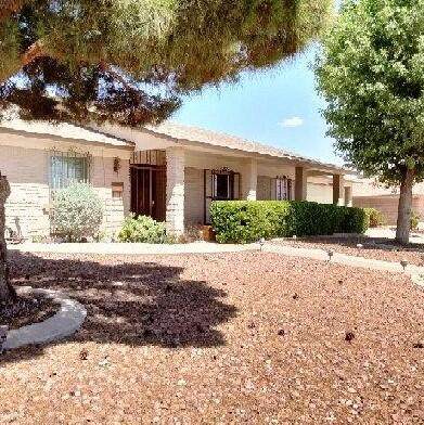 10701 Vista Alegre Drive - Photo 1