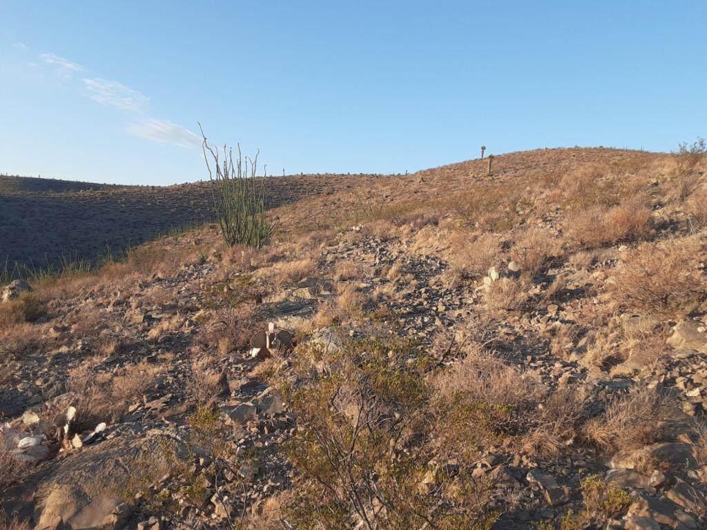 Unit 415 Sunset Ranches Lot 23 & 24 - Photo 1