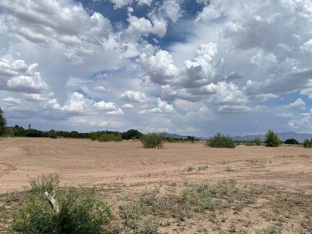 343 San Jancinto Road - Photo 1
