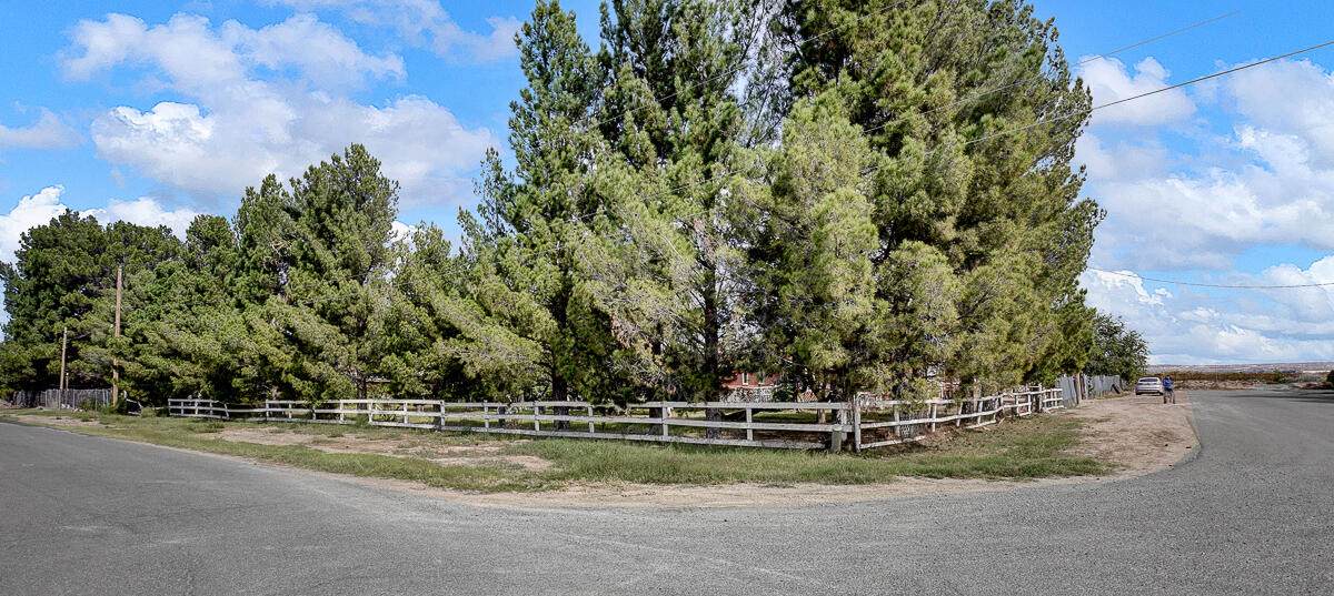 13677 Halagueno Drive - Photo 1