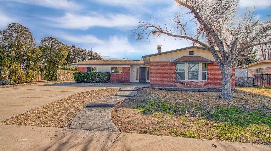 10220 Sumatra Street - Photo 1