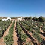 2695 Redstone Street - Photo 4