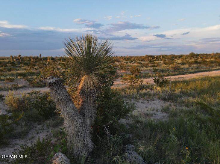 https://bt-photos.global.ssl.fastly.net/elpaso/orig_boomver_1_913700-2.jpg