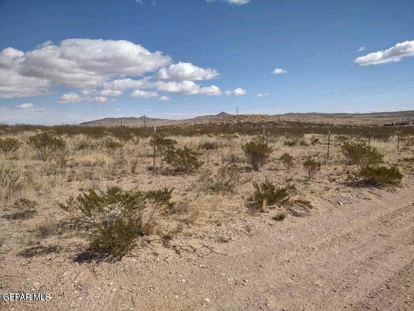 TBD San Felipe Avenue - Photo 1