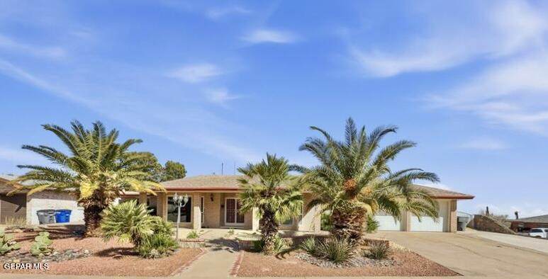 9000 Rancich Street - Photo 1