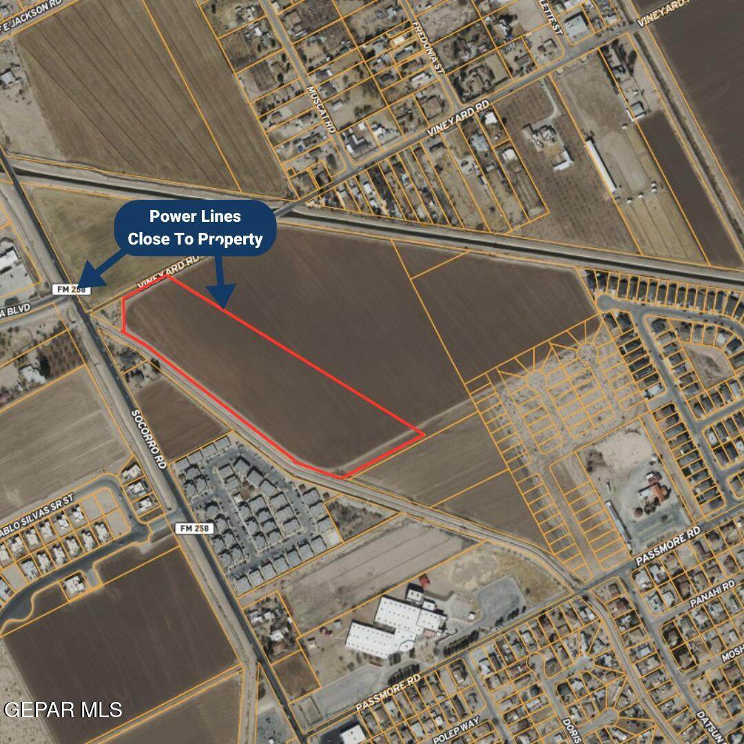 PN-203375 Vineyard Rd - Photo 1