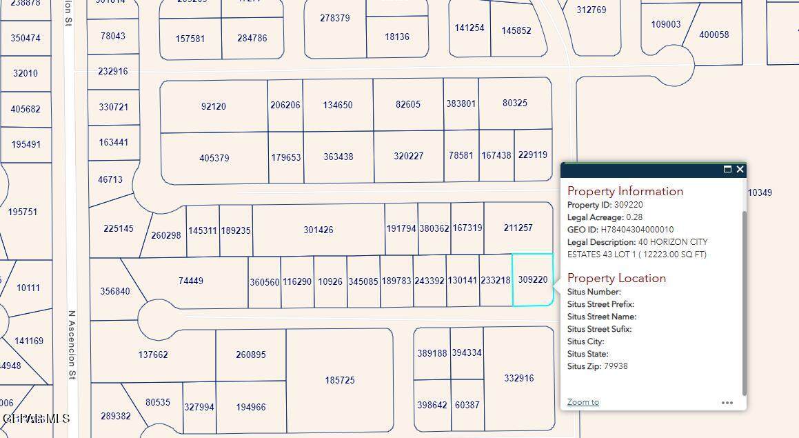 PN-309220 40 Horizon City Estates Lot 1 - Photo 1