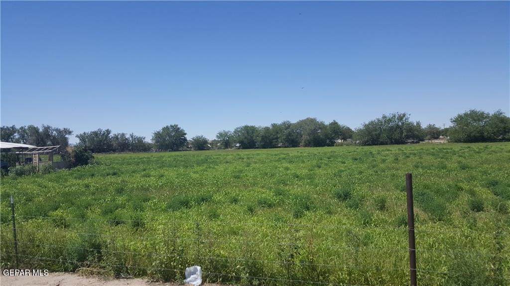 13054 Alarcon Road - Photo 1