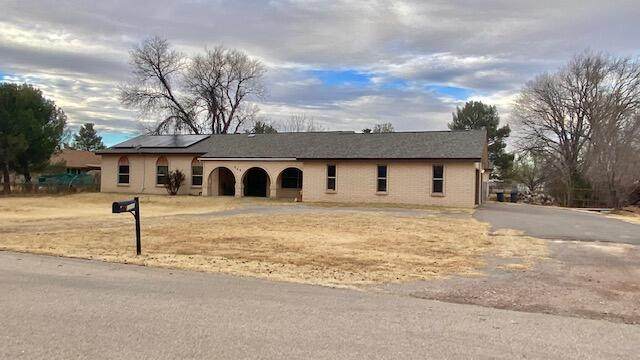 949 Man-O-War Street - Photo 1