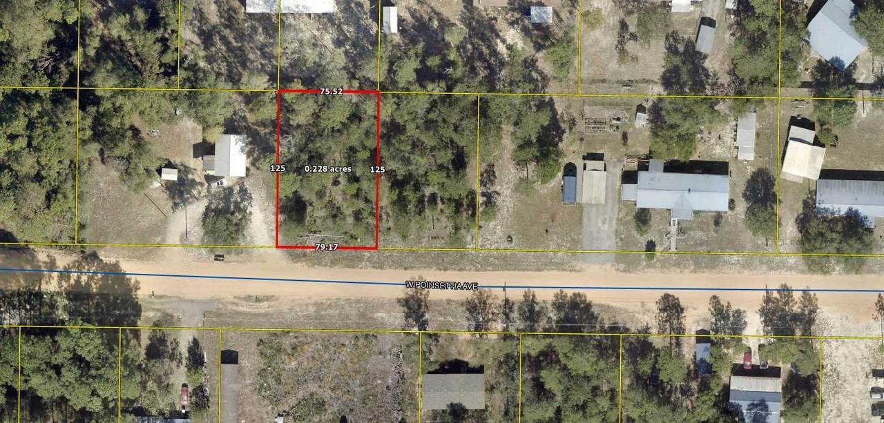 TBD Poinsetta Avenue - Photo 1
