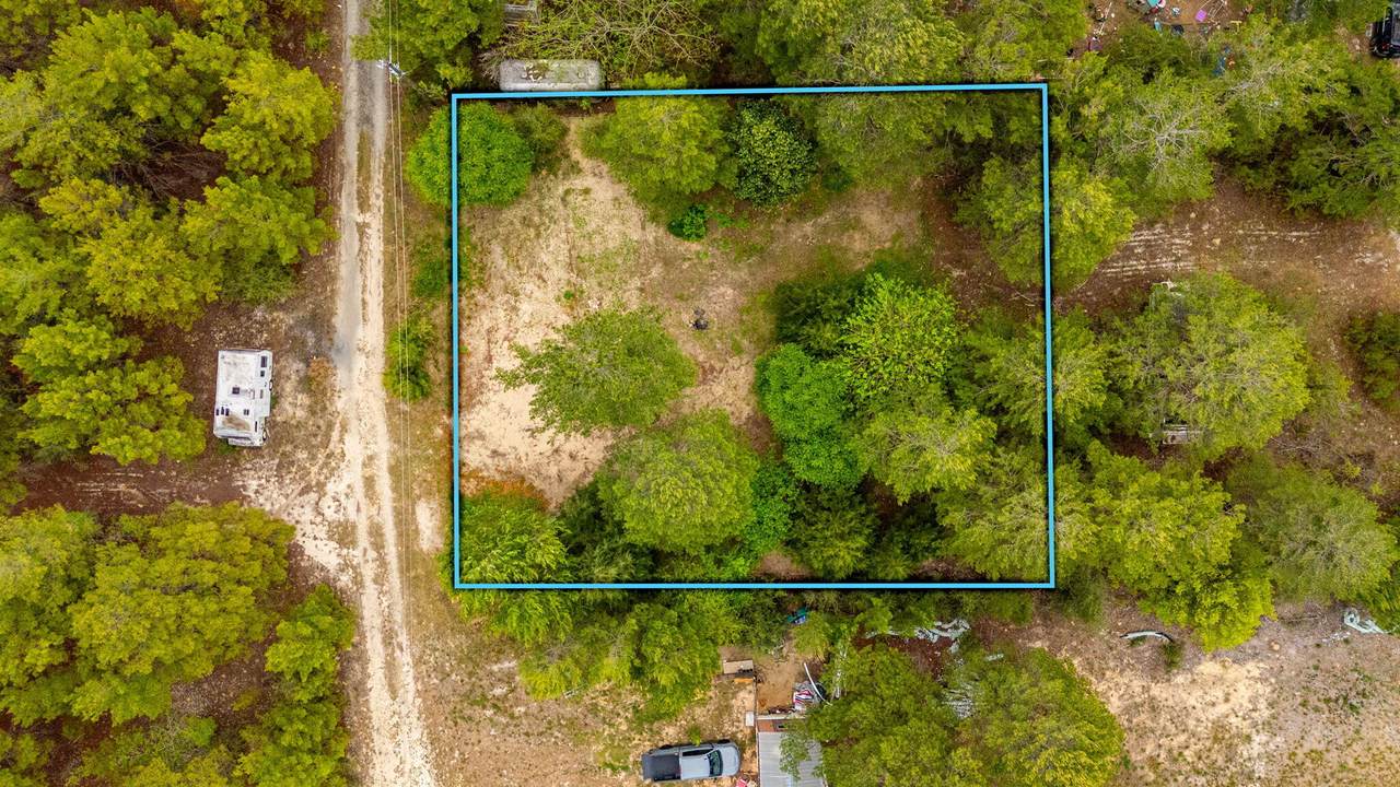 87 Tangelo Street - Photo 1