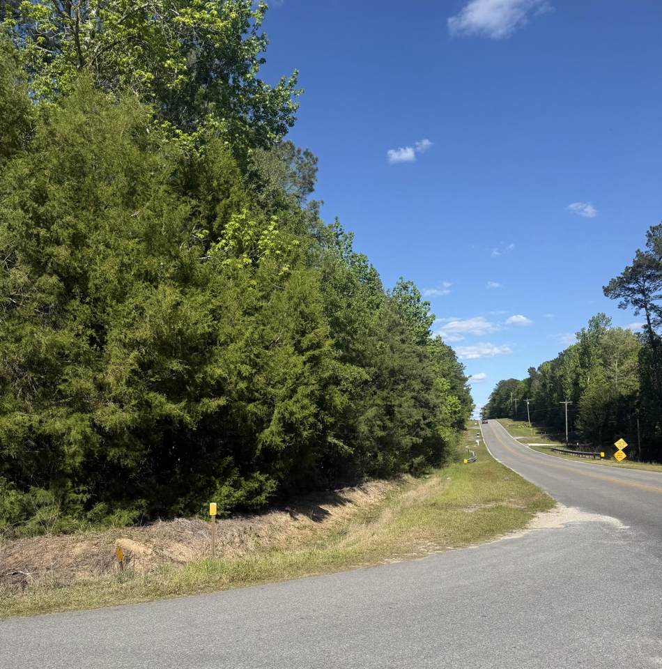 10 Acres Bob Sikes Road - Photo 1