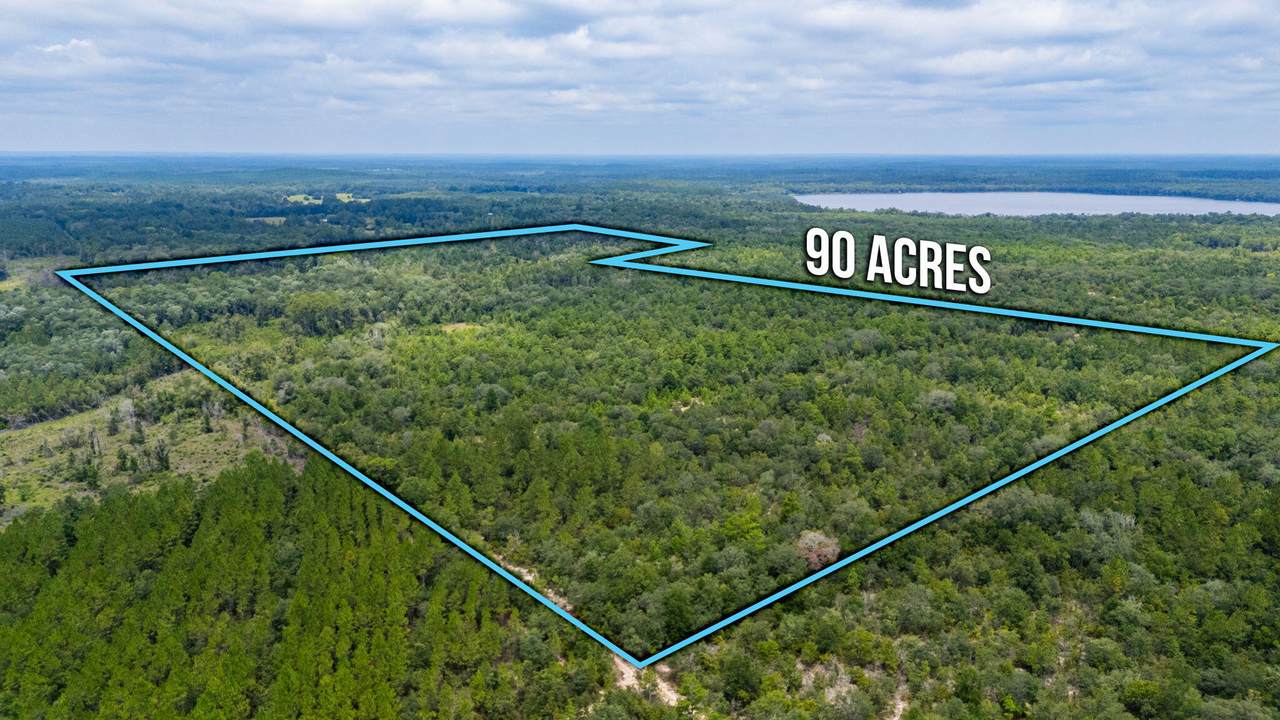 90 Acres Union Hill Road - Photo 1