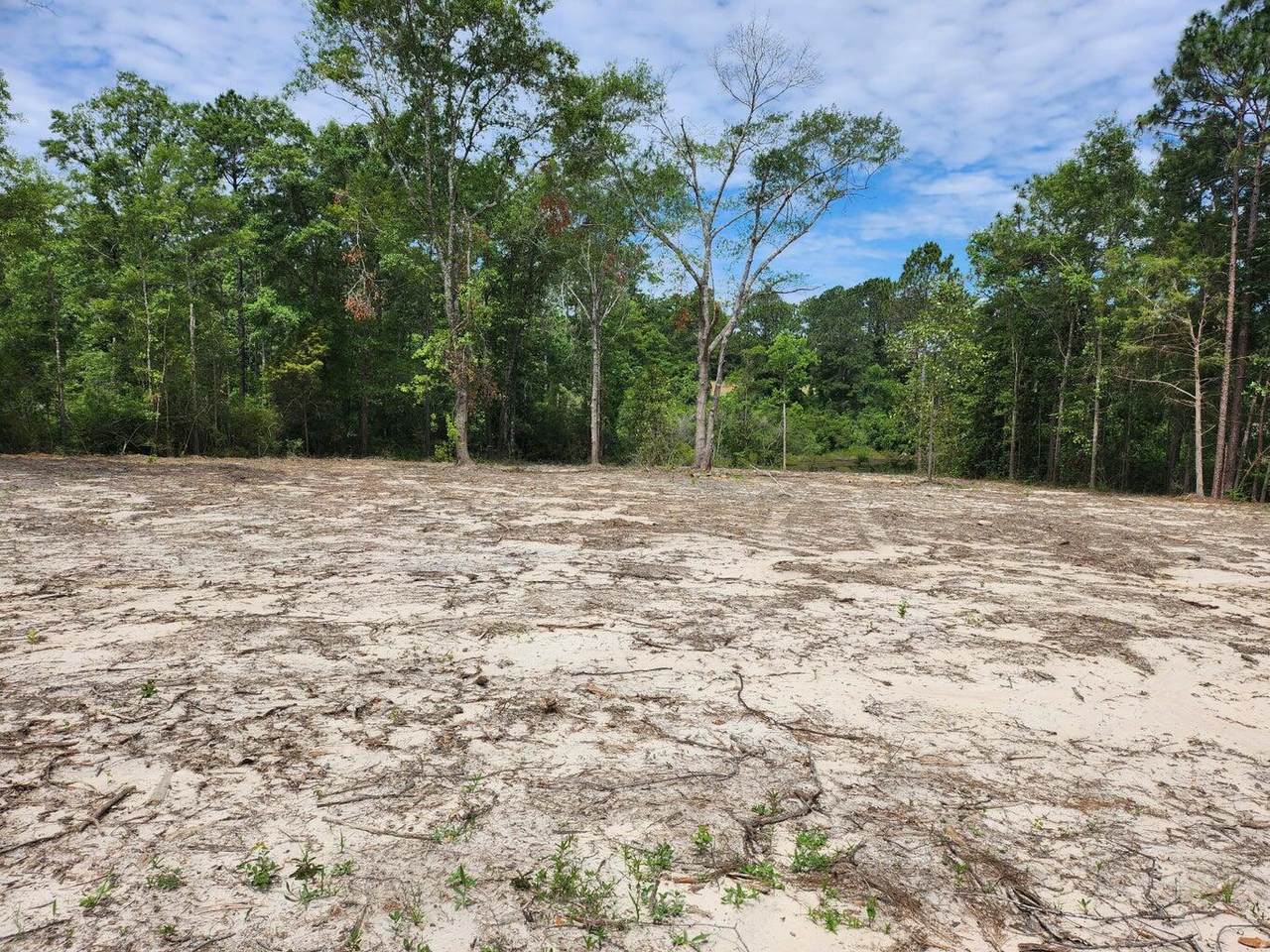 Lot 43 Pinewood Drive - Photo 1