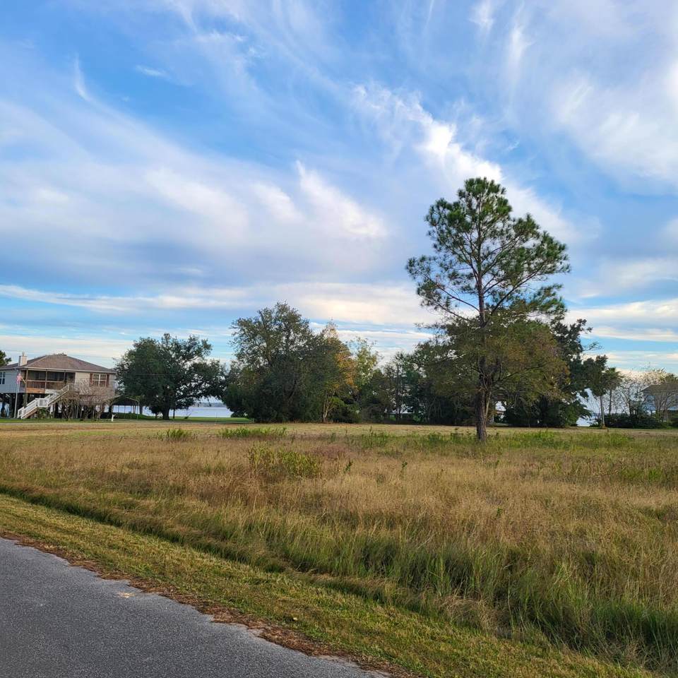 TBD Owensville Road - Photo 1