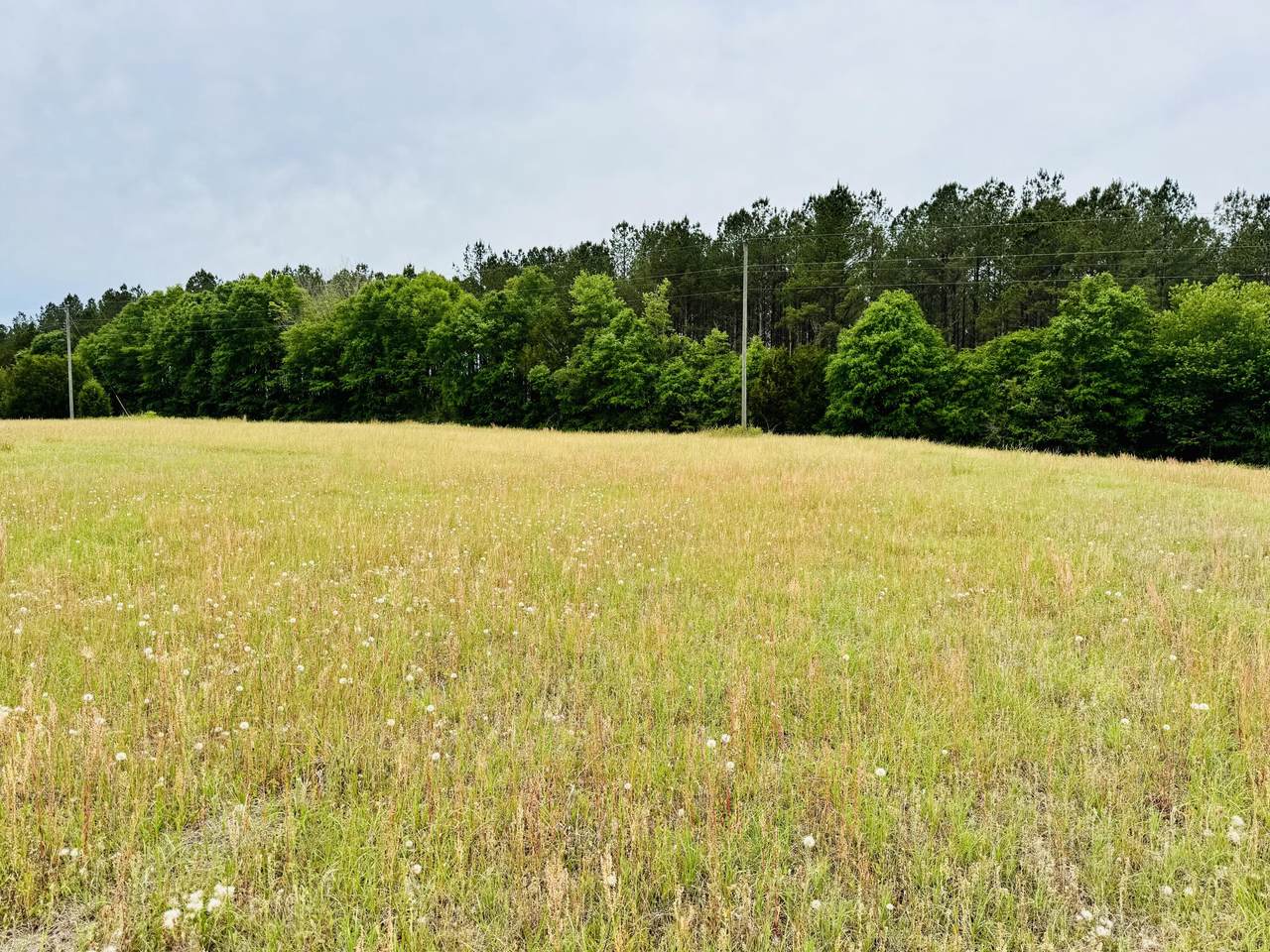 https://bt-photos.global.ssl.fastly.net/emerald/1280_boomver_1_1001547-2.jpg