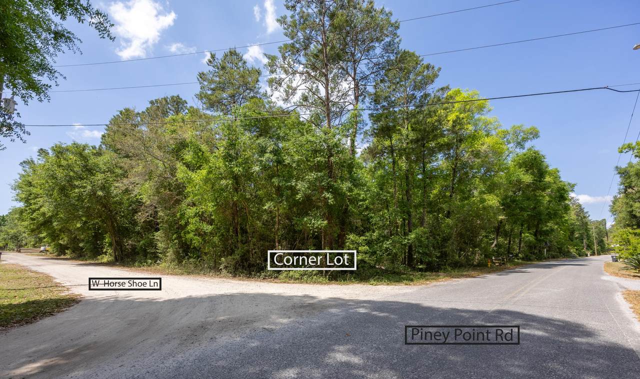 Lot X Piney Point Road - Photo 1