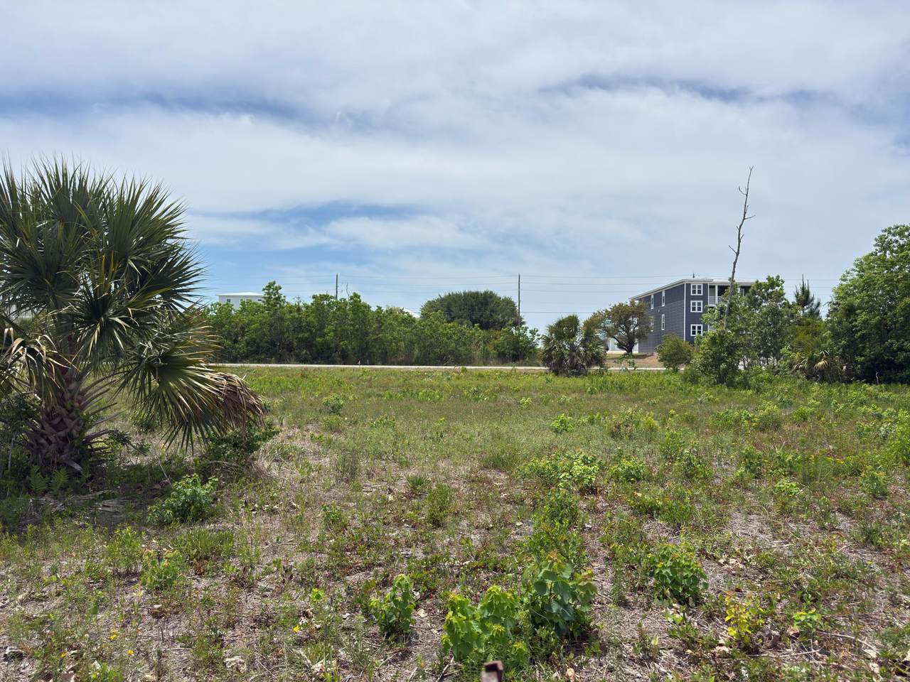 Lot 7 Florida - Photo 1