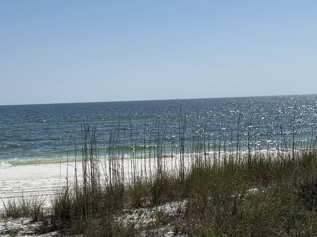 8890 Hwy 98 - Photo 1