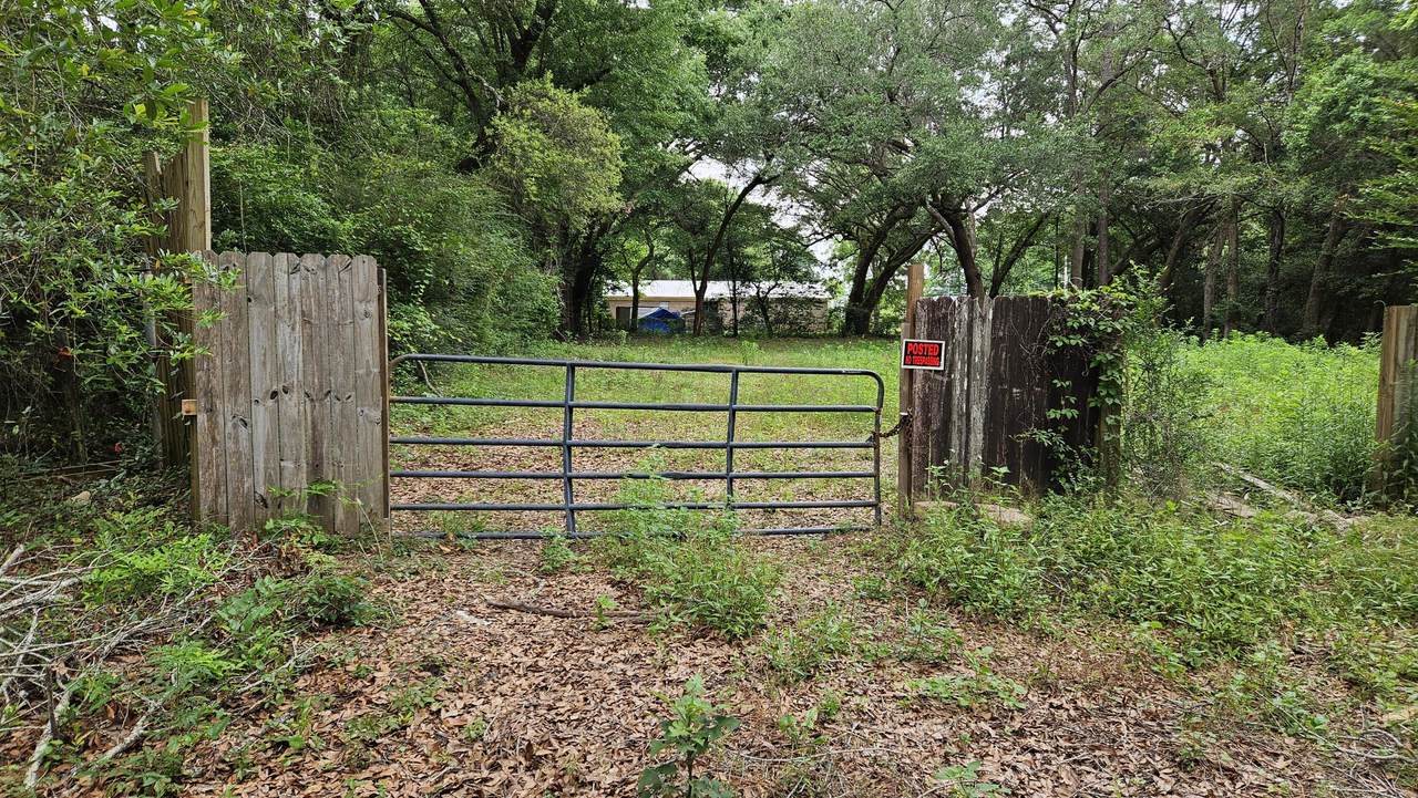 8880 Handicare Street - Photo 1