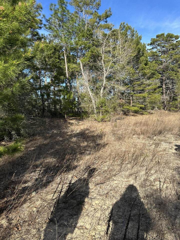 5225 Kimp Road - Photo 1