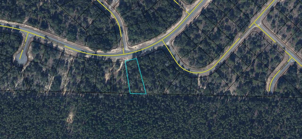 Lot 14 Shenandoah Boulevard - Photo 1
