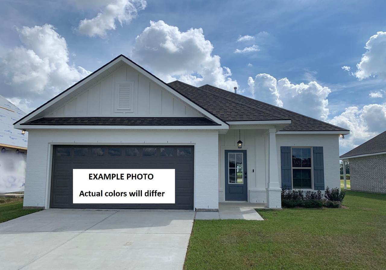424 Natureview Way - Photo 1