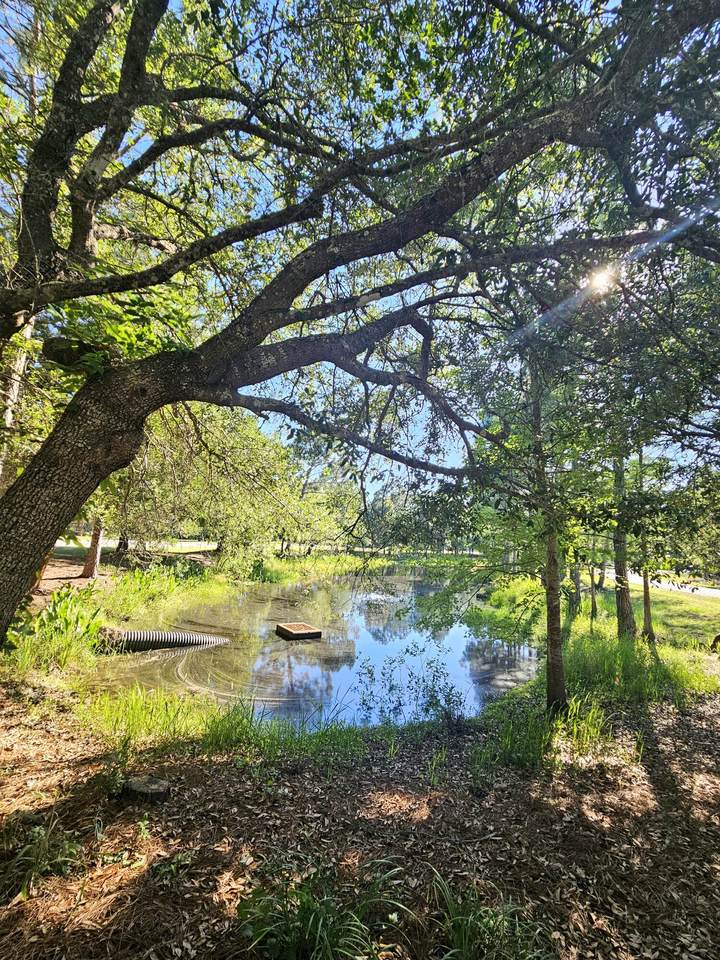 1514 Sweetbay Trail - Photo 1