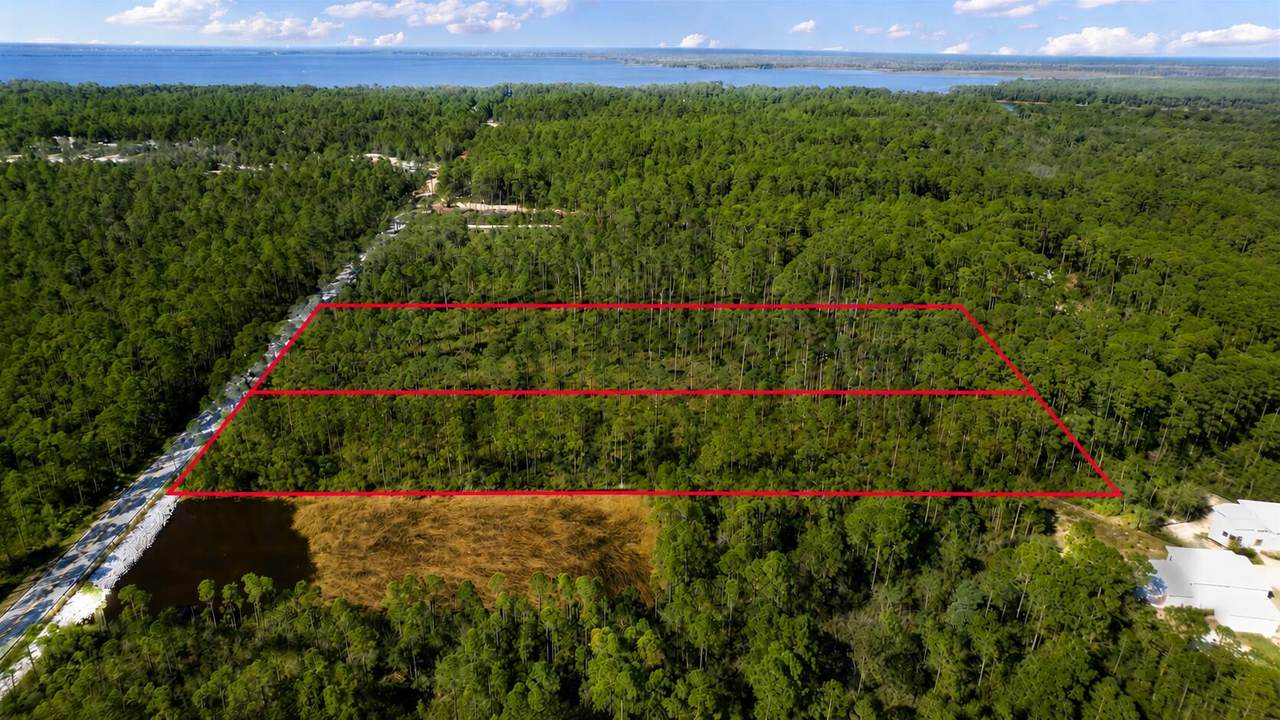 TBD Point Washington Road - Photo 1
