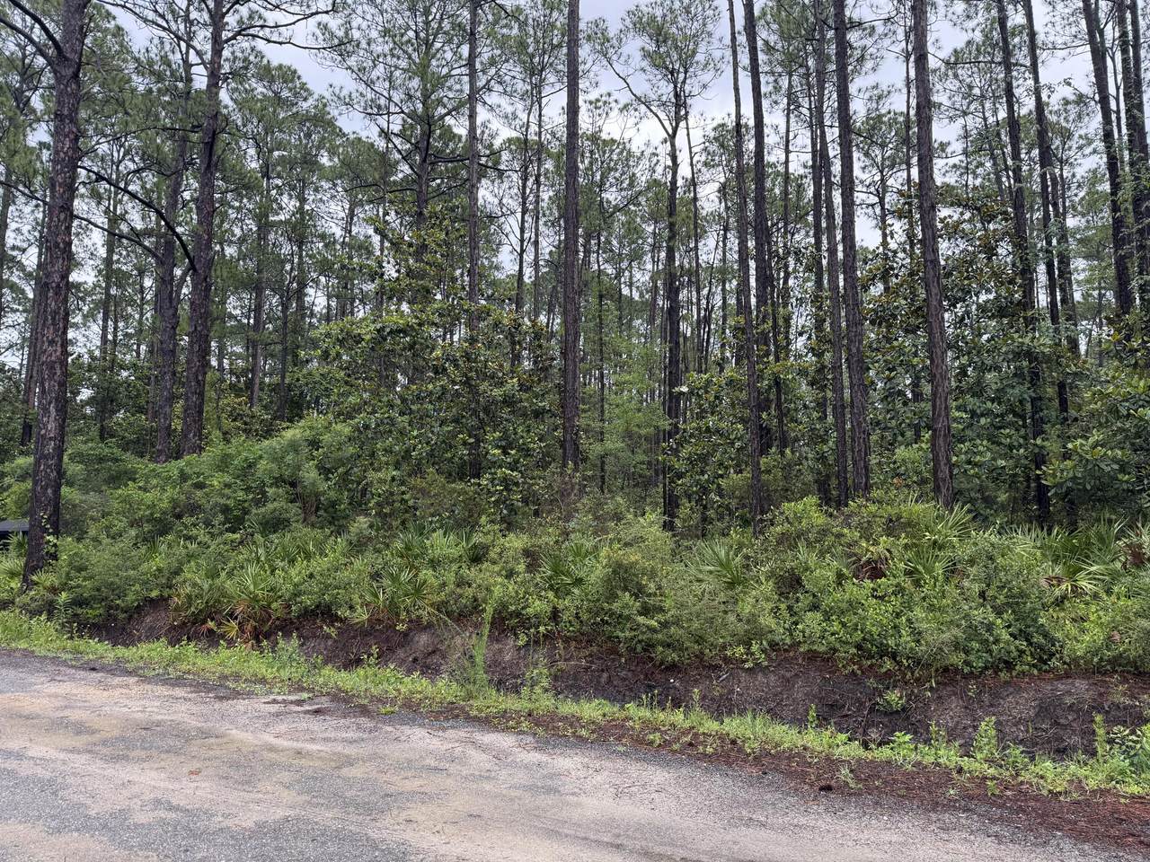 Lot 1,2,3 12 Th Street - Photo 1
