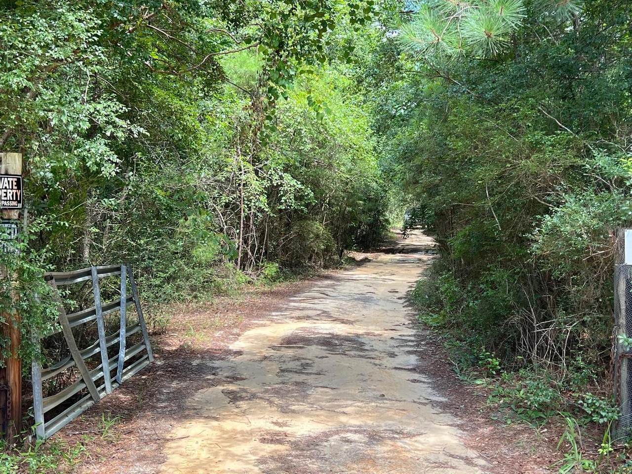 1087 Brake Road - Photo 1