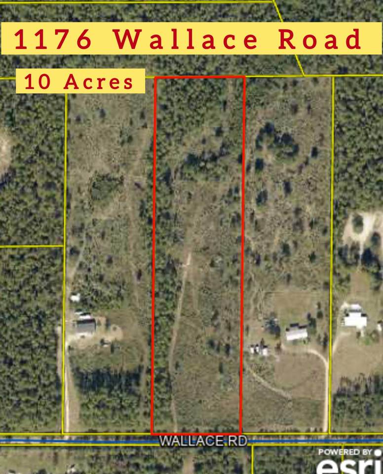 1176 Wallace Road - Photo 1