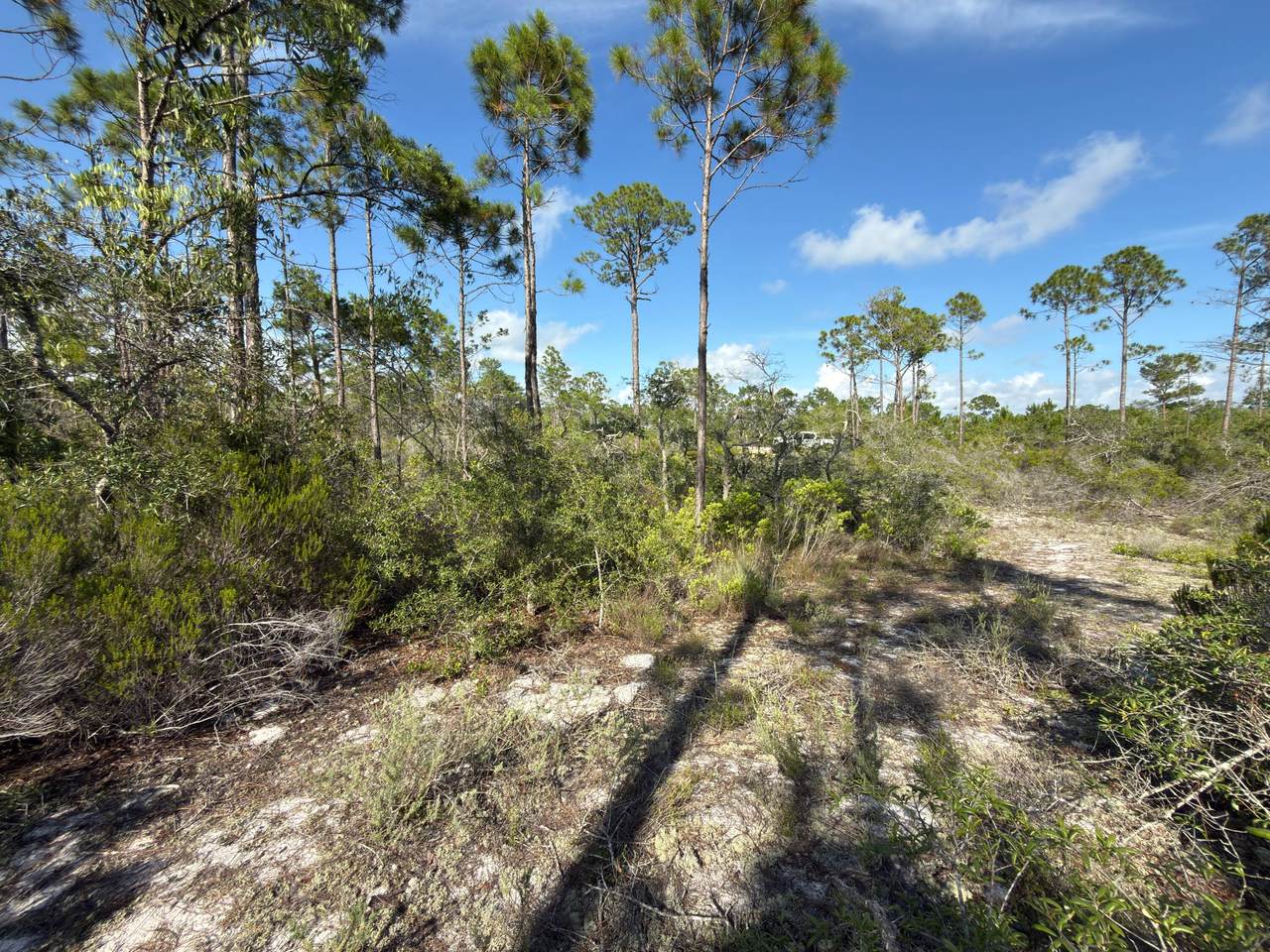 Lot A Adventure Avenue - Photo 1