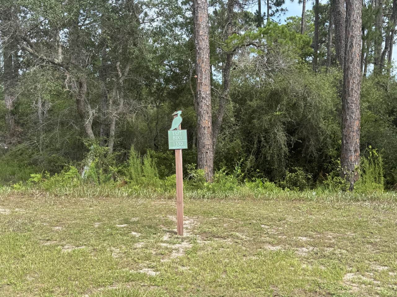 1530 Sharks Tooth Trail - Photo 1