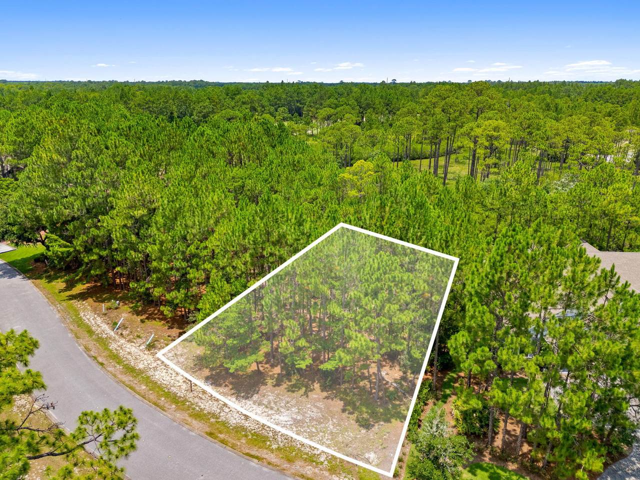 1509 Sweetbay Trail - Photo 1