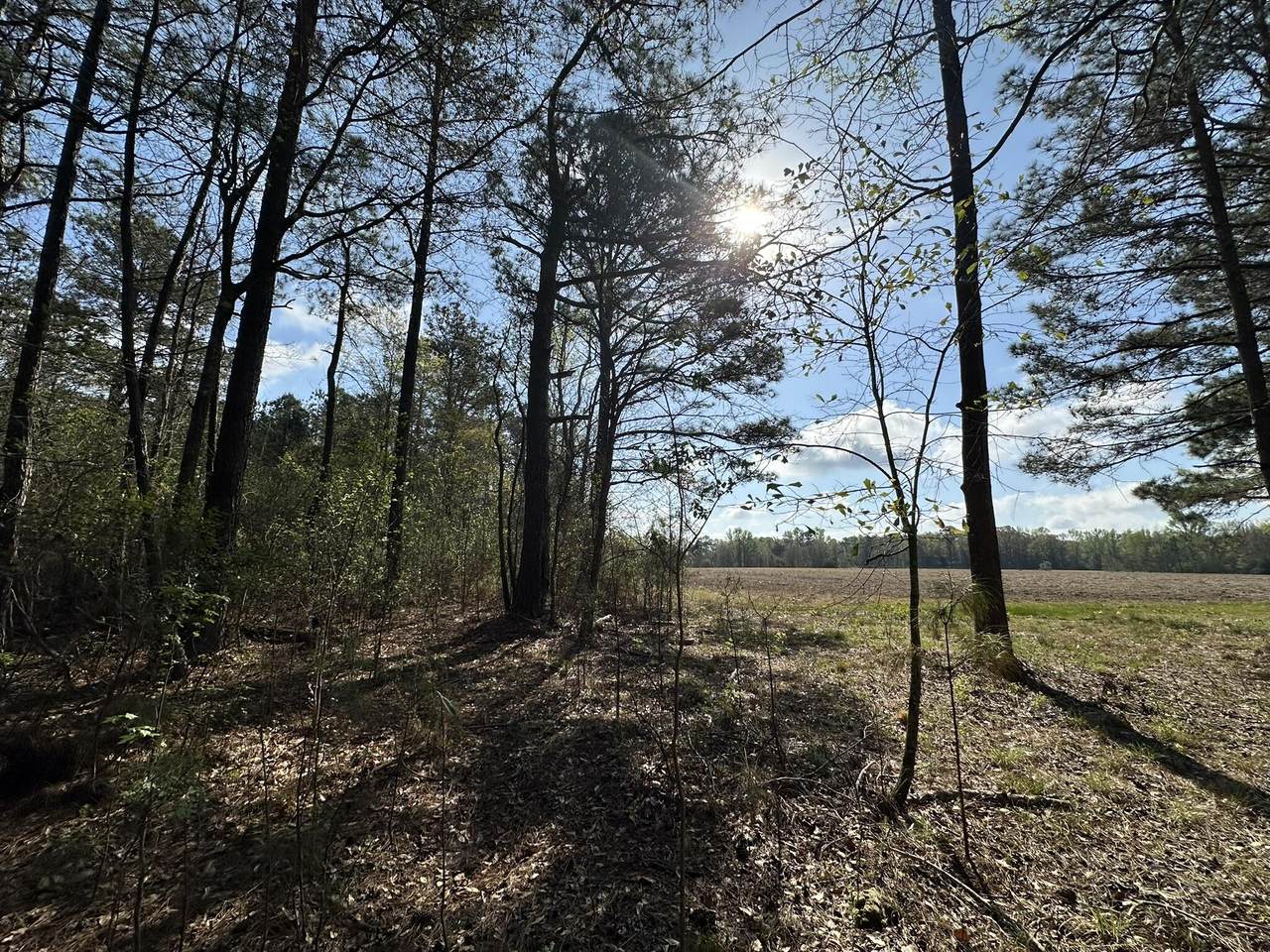 1.1+/- AC Snider Avenue - Photo 1