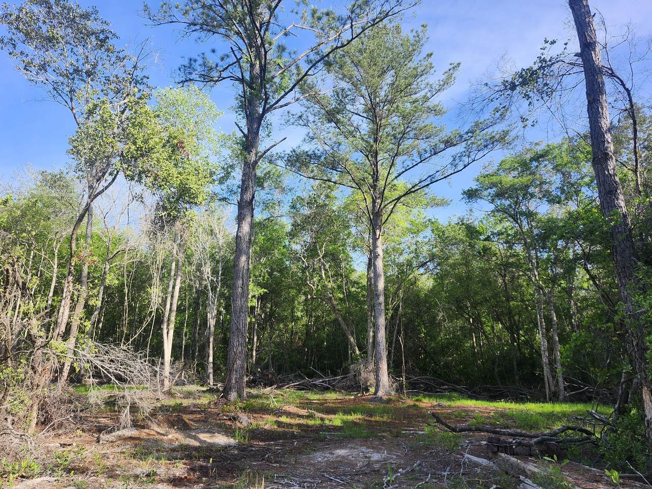 TBD Plantation Lane - Photo 1