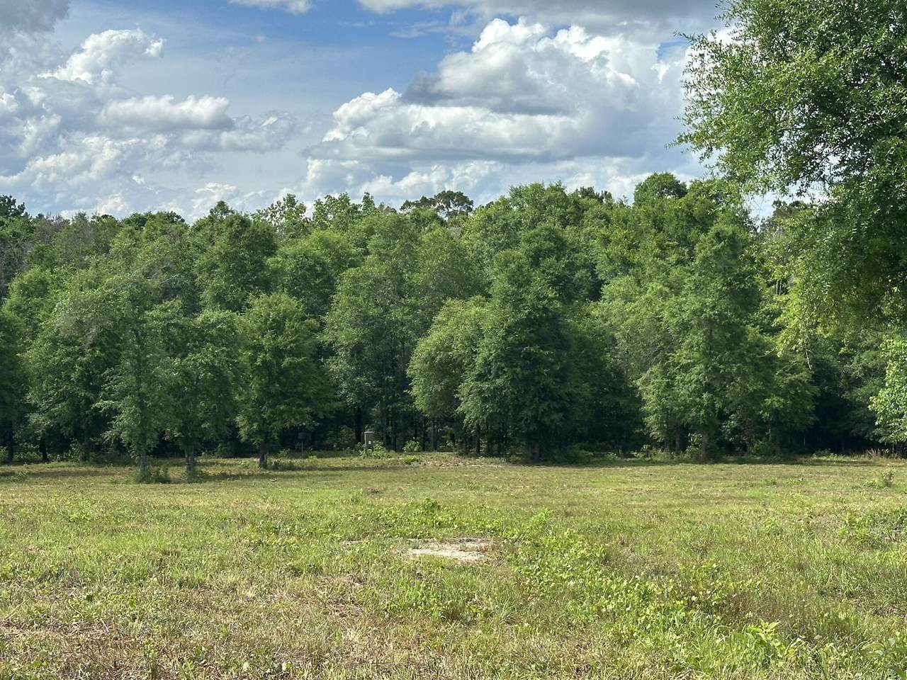 West 58 AC County Road 20/New Ebenezer Road - Photo 1