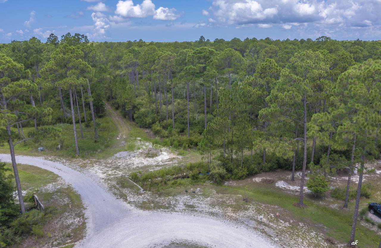 6624 Button Buck Trail - Photo 1