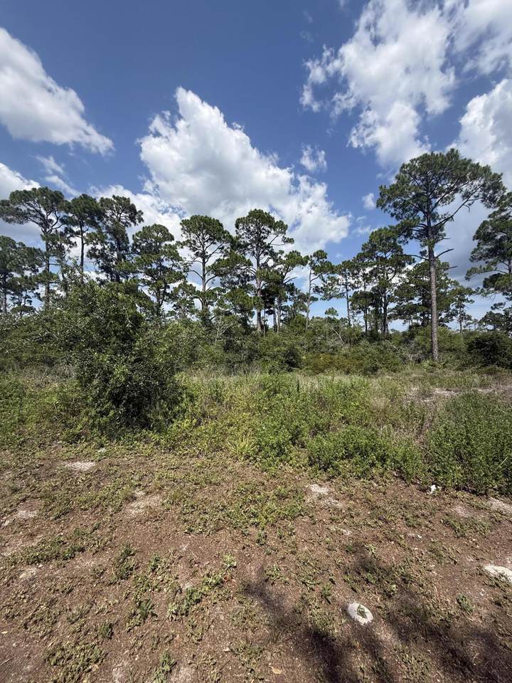 504 Tide Water Drive - Photo 1