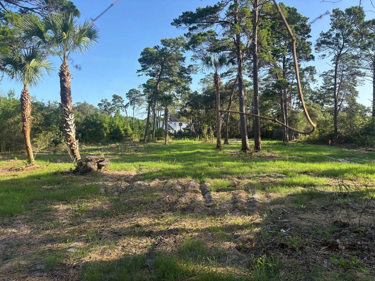 291 Pinewood Lane - Photo 1