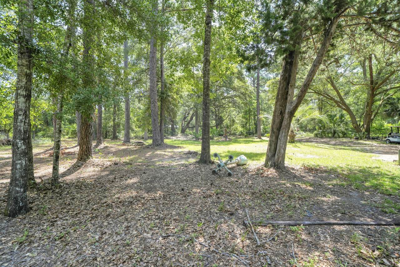 41 Frog Hill Road - Photo 1