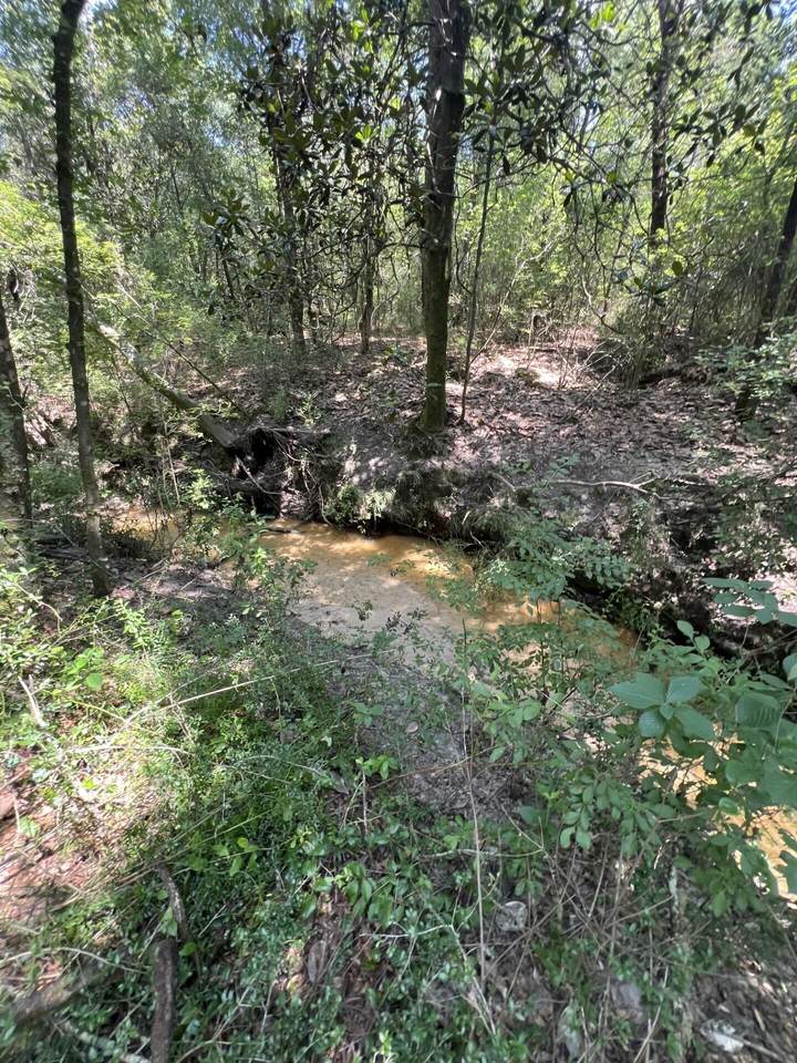 6132 Long Road - Photo 1