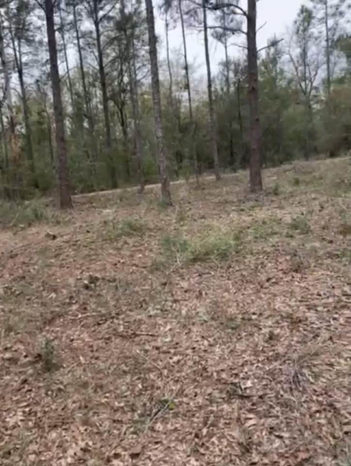 lot 28-29 Black Cherry Drive - Photo 1