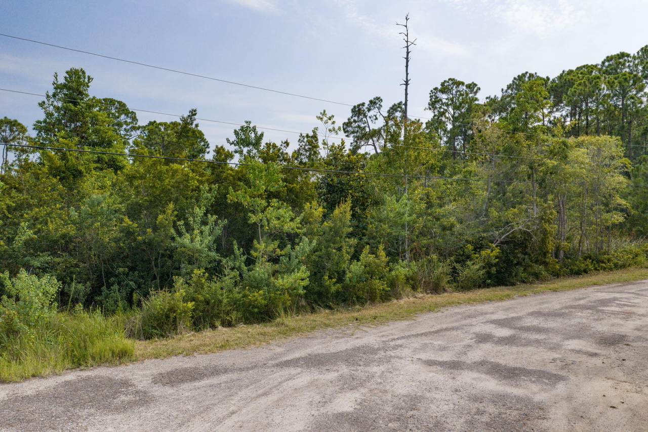 Lot 38 Casa Grande Lane - Photo 1