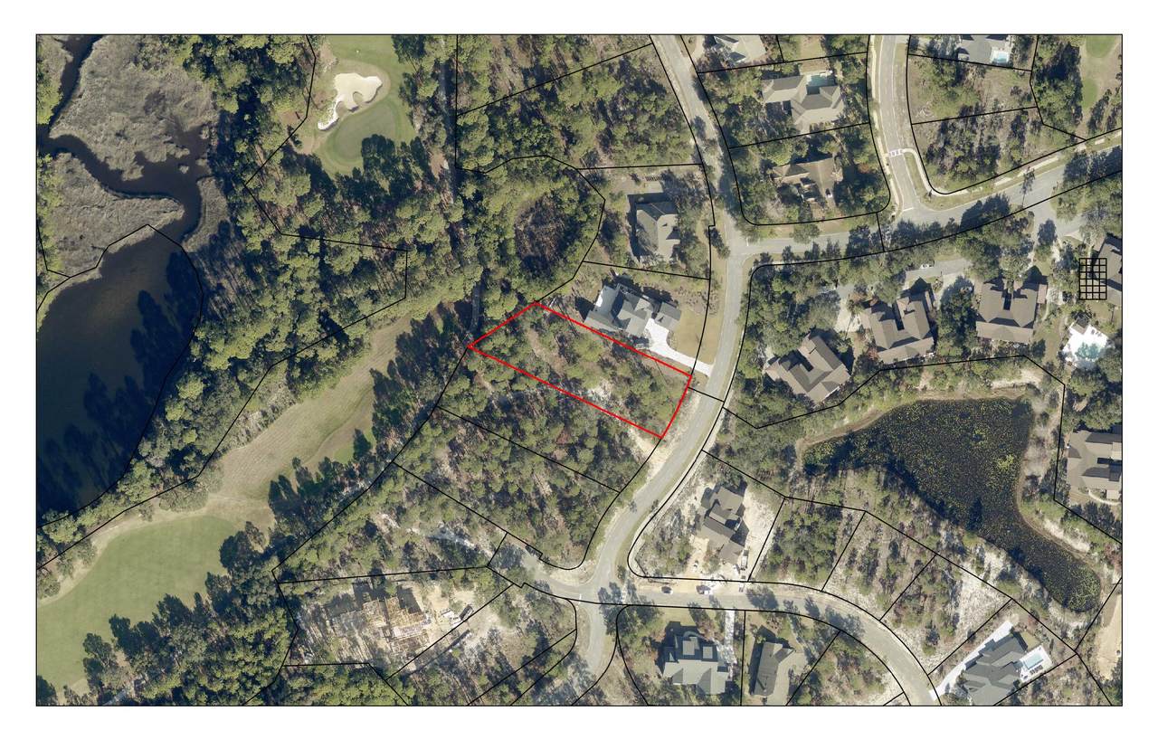 1539 Sharks Tooth Trail - Photo 1
