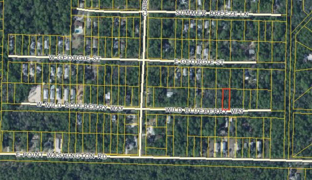 LOT 29 Wild Blueberry Way - Photo 1