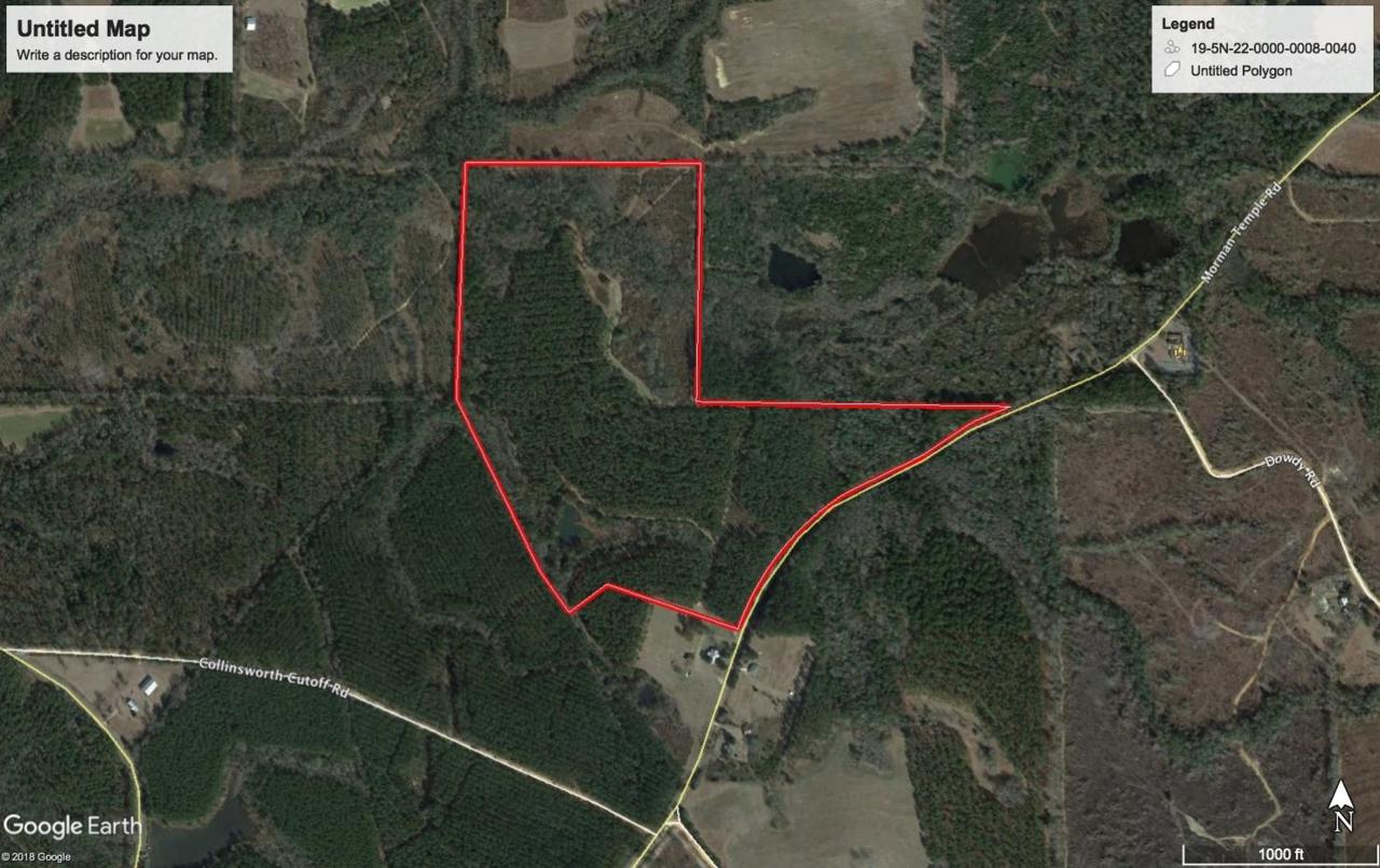 84.16 AC Mormon Temple Road - Photo 1