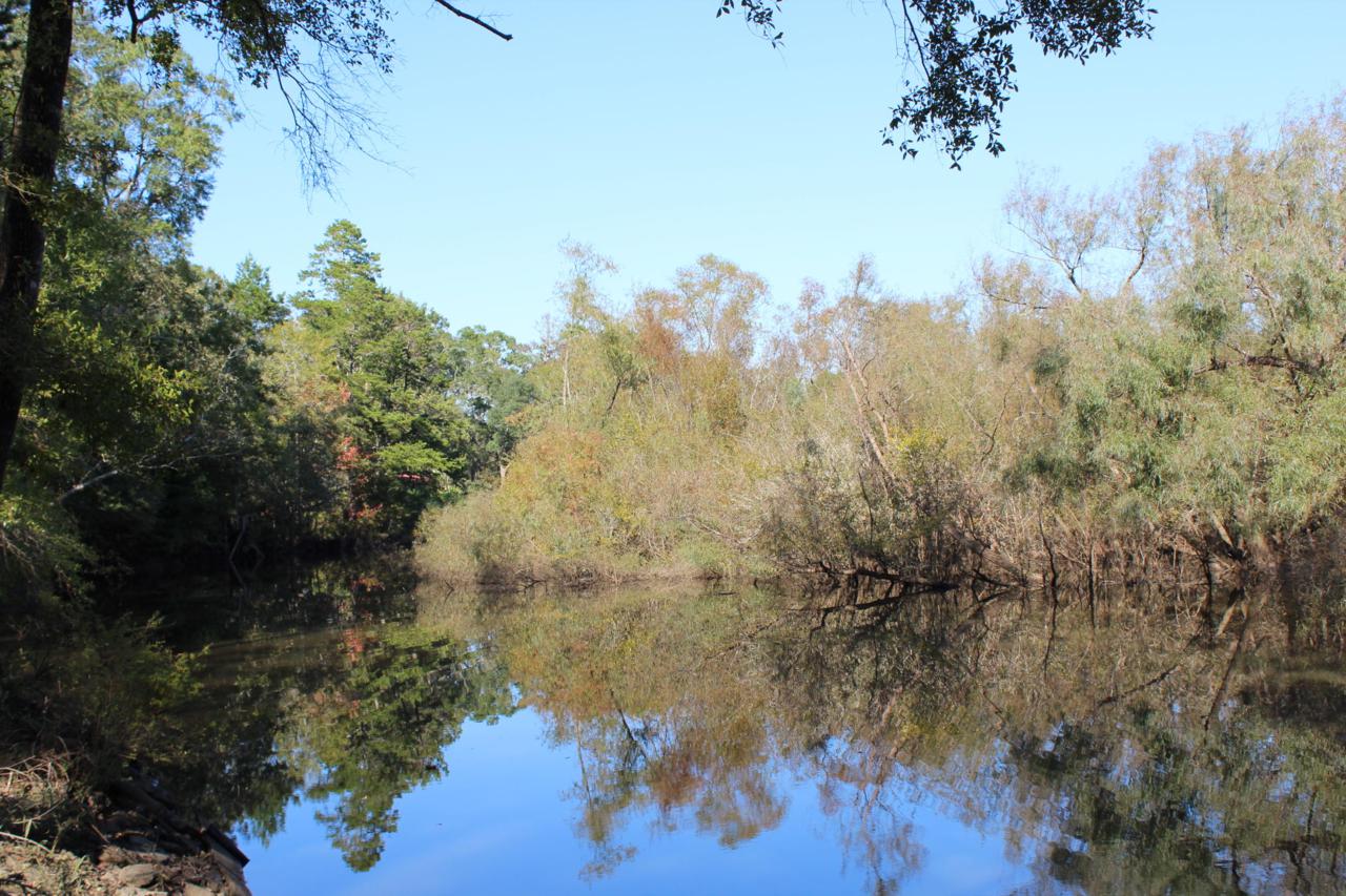 LOT6 River Road - Photo 1