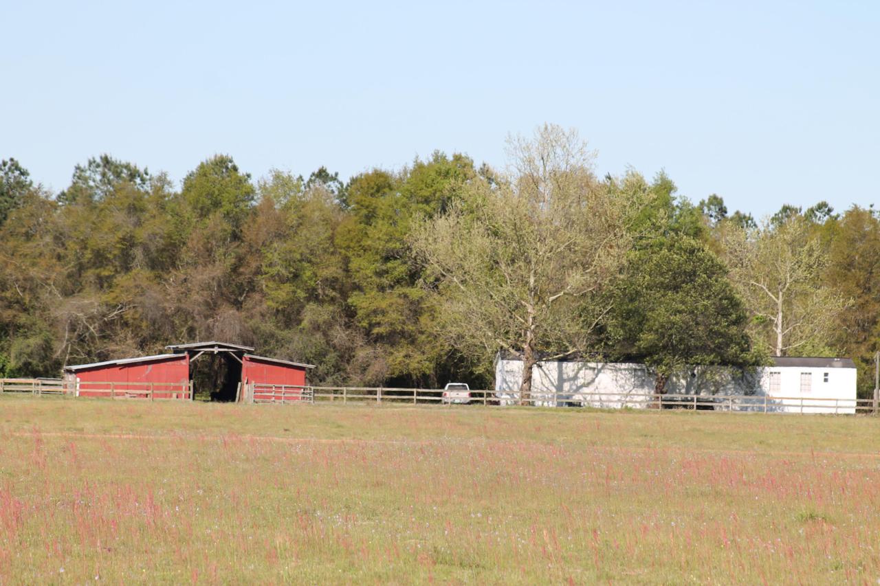 5135 Griffith Mill Rd Road - Photo 1